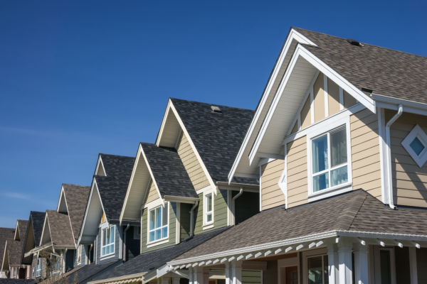 Empowering Veterans Through American Home Project